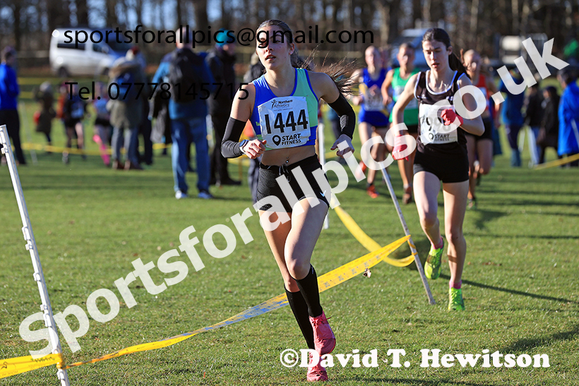 Womens under-17s 2025 Northern Cross Country Champs, Tatton Park, Knutsford, Cheshire. Photo: David T. Hewitson/Sports for All Pics